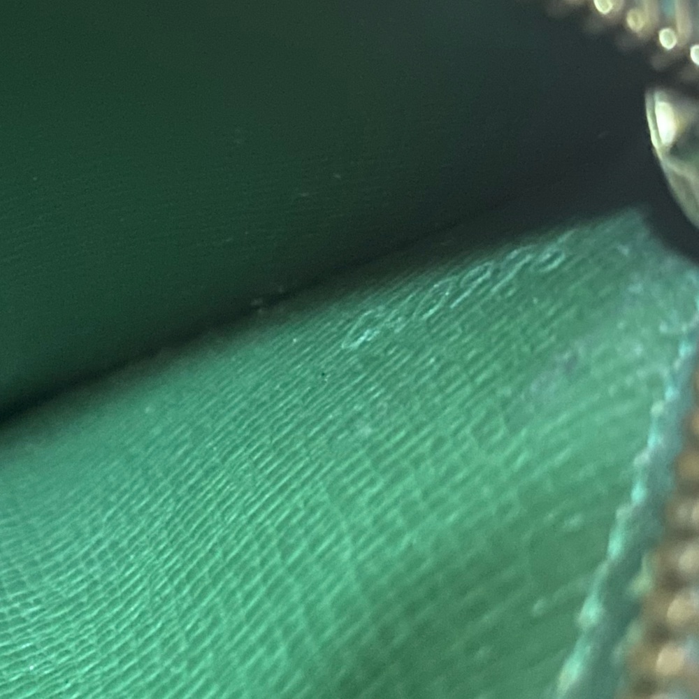Louis Vuitton Sarah Epi leather wallet on chain green gold - Picture 9 of 9
